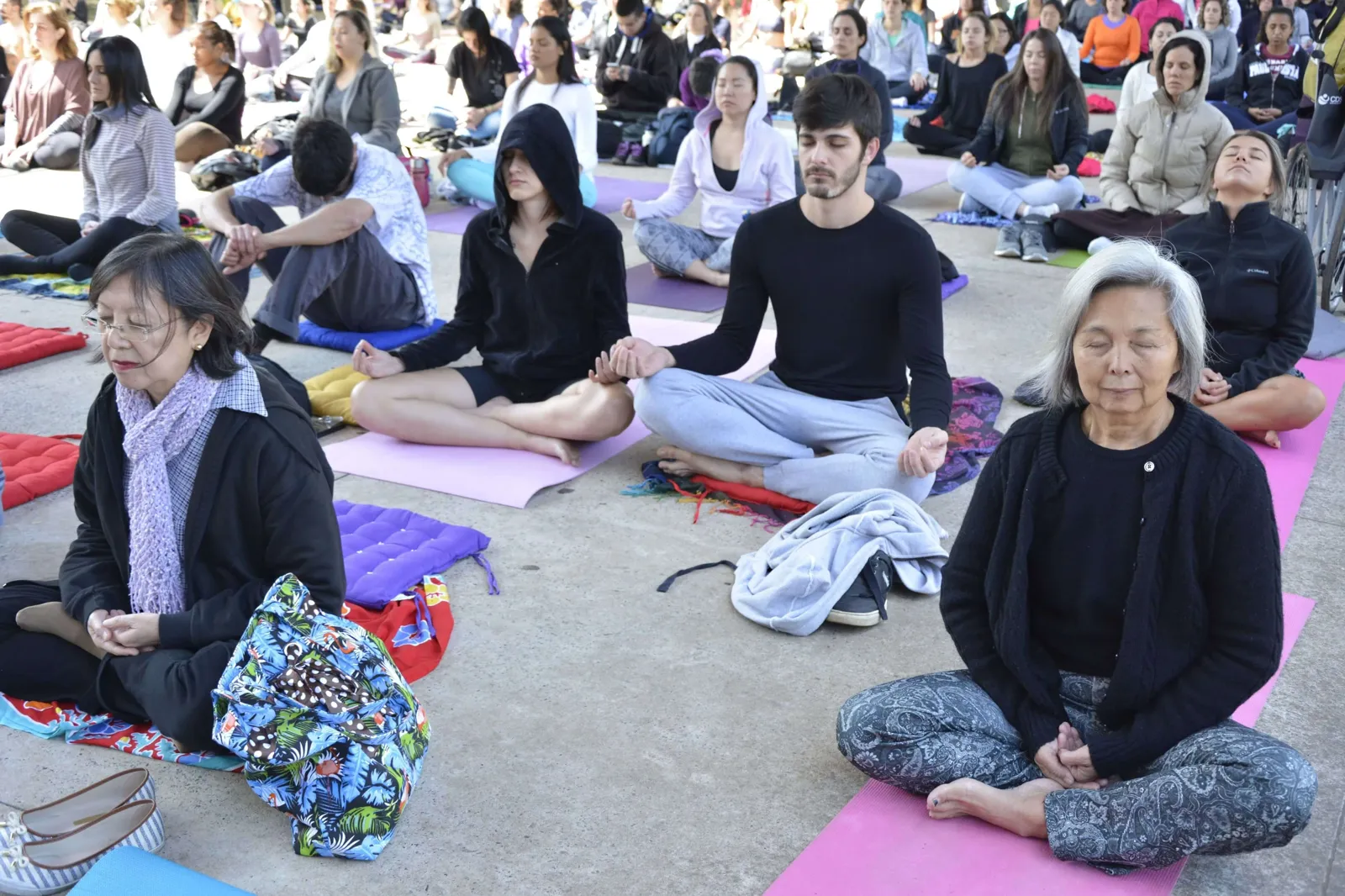 Participantes meditando sentados em tapetes